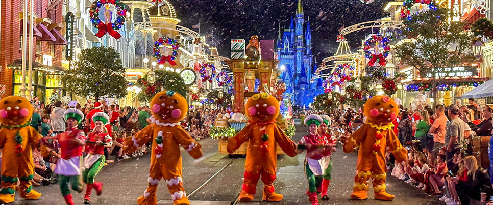 nagzira christmas tour