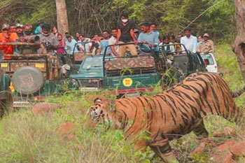 nagzira tour