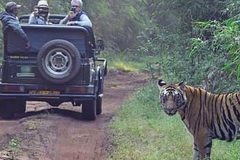 nagzira tour